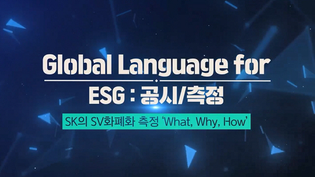 #화폐화측정 #글로벌 #SKDBL #화폐화중요성 #측정공감대 #측정체계발전 #화폐화측정방향성 | SOVAC